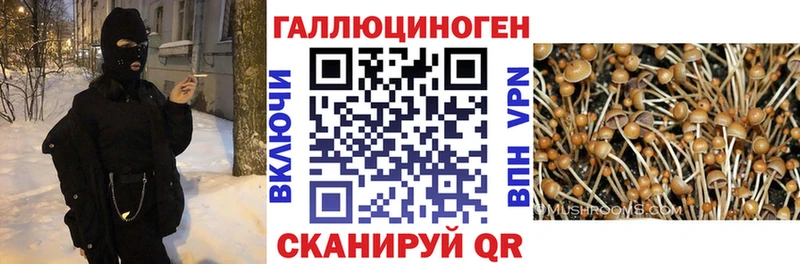 даркнет сайт  Егорьевск  блэк спрут маркетплейс  Псилоцибиновые грибы ЛСД 