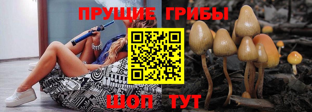 Егорьевск  Галлюциногенные грибы ЛСД  наркота  Вход с VPN  Псилоцибиновые грибы мицелий 