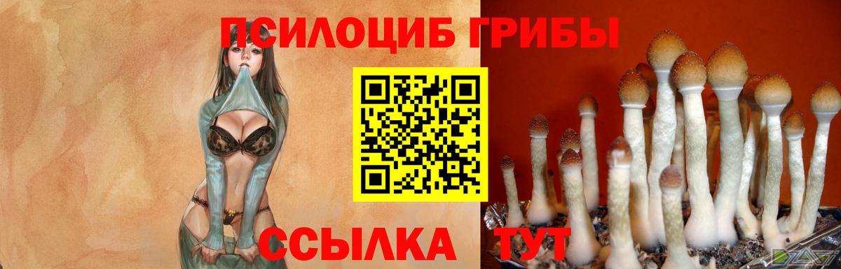 Галлюциногенные грибы ЛСД  Егорьевск 